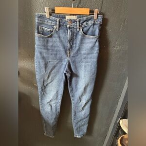 Everlane Dark Wash Curvy Way High Rise Skinny Jeans Size 28